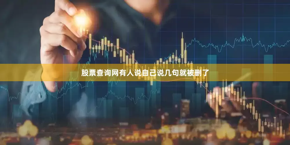 股票查询网有人说自己说几句就被删了